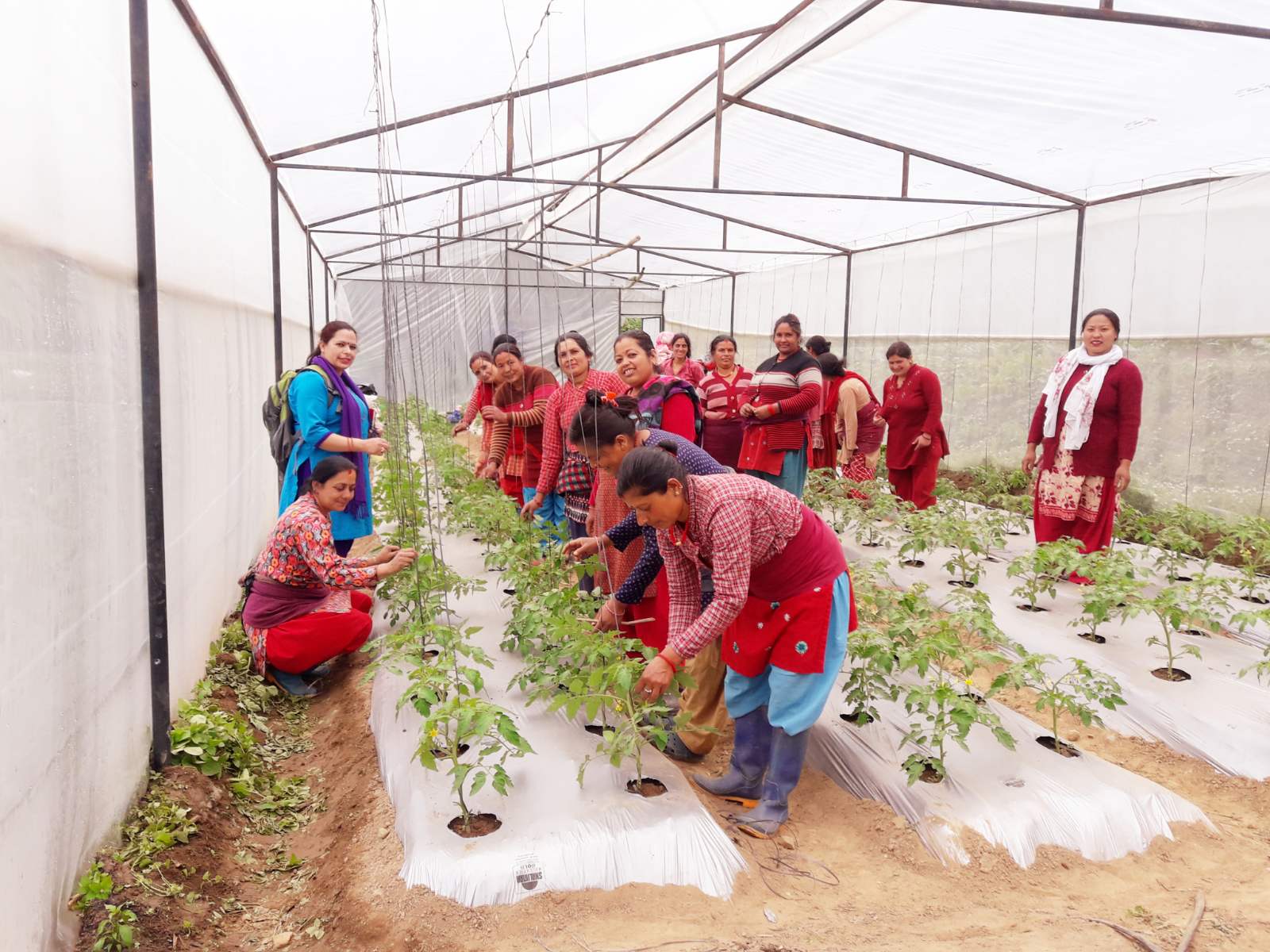 Empowering Women Through Community Support